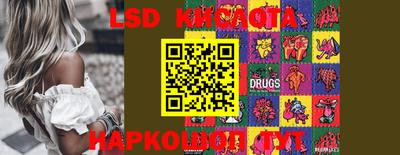 крисы Аргун