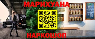 крисы Аргун